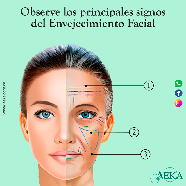 embrague El respeto aleación rostro envejecimiento facial puesta de sol